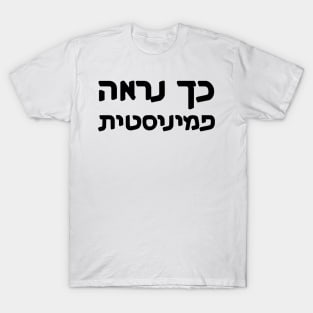 This Is What A Feminist Looks Like (Hebrew, Gender-Switching) T-Shirt